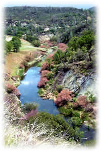 Bear Creek